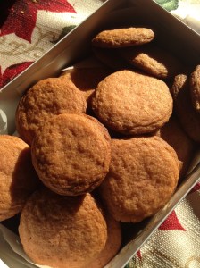 Chocolate Chip Cookies Without Chocolate Chips. There has to be a better name for these.
