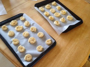 My tasty little Italian babies, all ready for the oven.