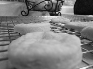 They look circular here, but I'm telling you, there were ovals everywhere.