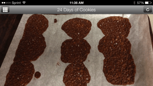 Not-so Chewy Ginger Cardamom cookies from 2012. If I only I knew then what I know now...