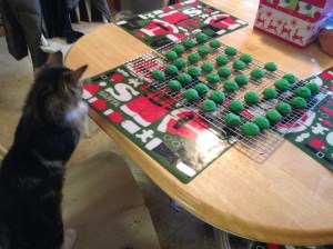 Gandalf kept an eye on these for me. (Don't worry, Mom, he didn't go on the table.)